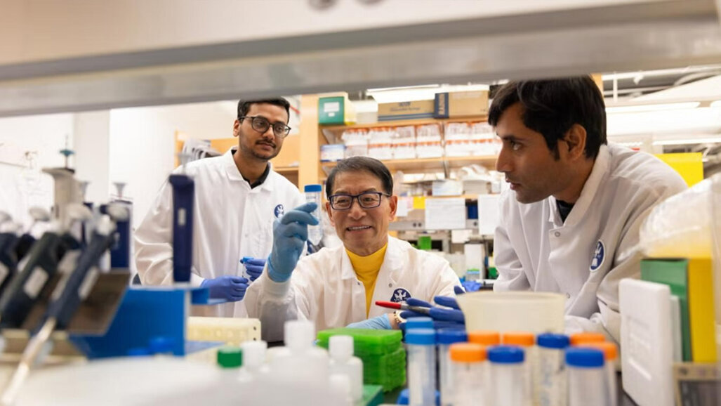 Tufts develops smart dental implant to restore sensation and connect with the brain