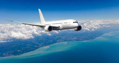 Researchers create artificial enamel for airplane construction