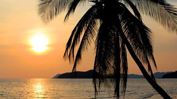 Tips to navigating a successful practice transition for retiring orthodontists