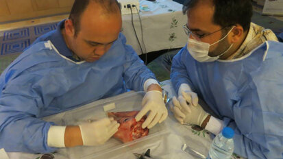 VESTA’dan İki Farklı Düzeyde, İki Farklı Eğitim