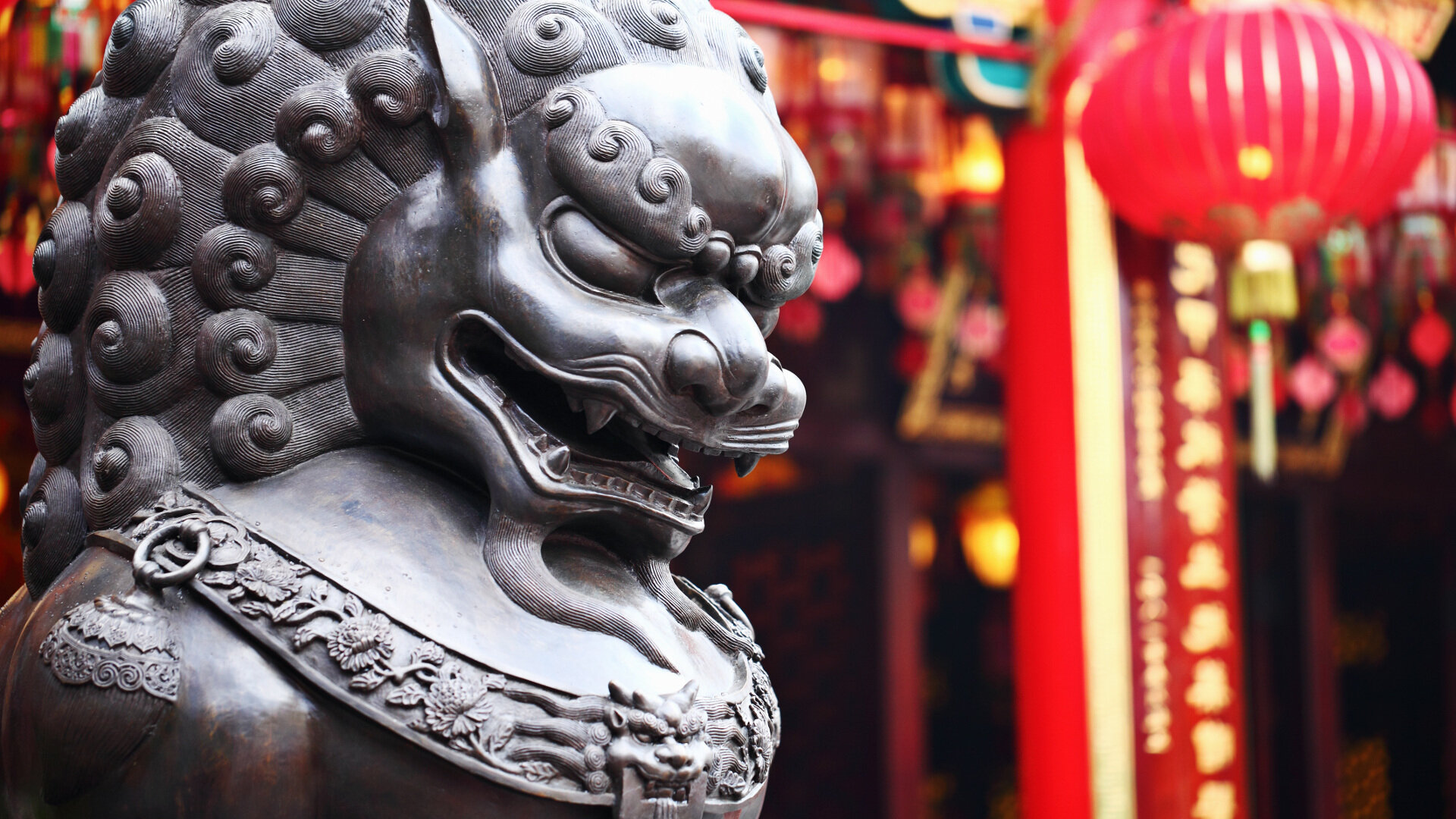 China displays its global dental might