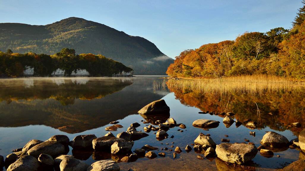 Kerry Branch Annual Scientific Meeting 2019