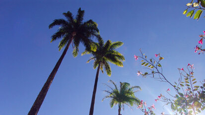 PCSO offers ‘Cutting-Edge Orthodontics at a Desert Retreat’