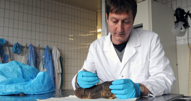 Zentrum für Evolutionäre Medizin eröffnet