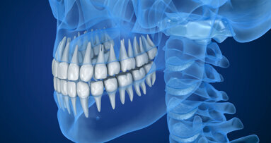 Biting and chewing trigger tooth growth