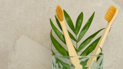 Duurzame tandheelkunde: 'Practice Green' Awards