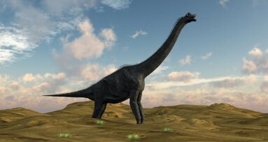 Il est possible de mesurer la température des dinosaures grâce à leurs dents