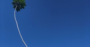 Column Reinier van de Vrie: Uitzwaaien