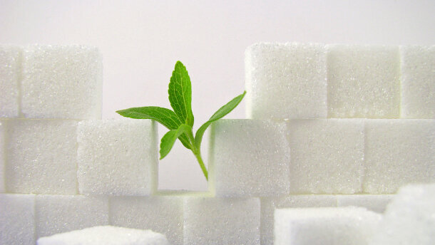 EU-Zulassung von Stevia?