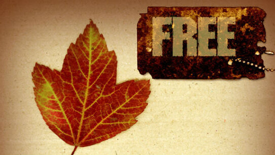 A Torino da quasi 35 anni volontari della protesi gratis