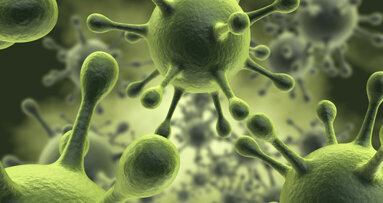 Zahnanalyse: Forscher entschlüsseln Pestvirus