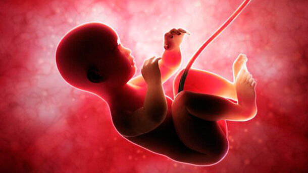 La ricerca scopre lo sviluppo veloce dello smalto dentale negli esseri umani