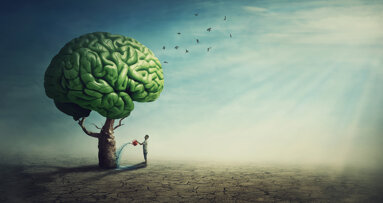 New studies link oral health to cerebrovascular health