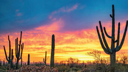 ‘Be in the Know’ at AO 2023