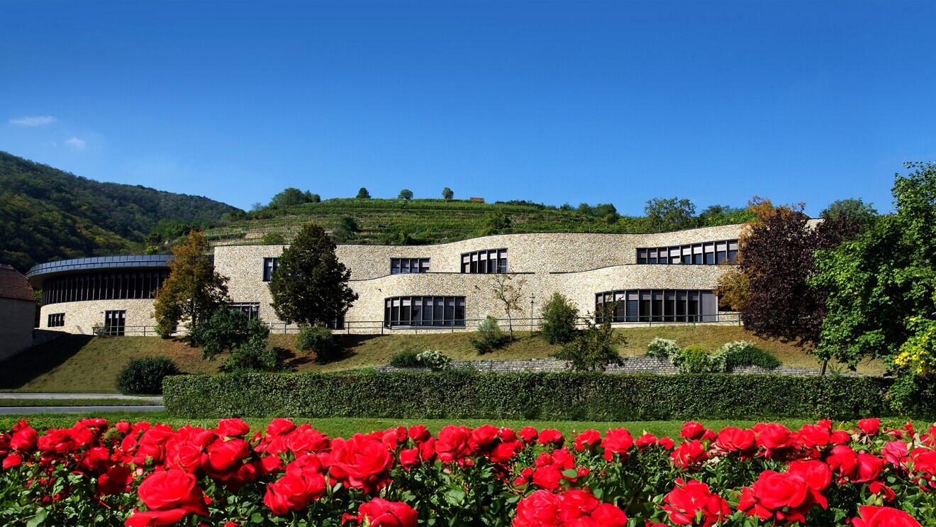 Danube Private University in Wachau, a UNESCO-recognised cultural landscape near Vienna.