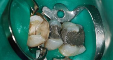 Résultats du sondage sur les systèmes de matrices sectorielles