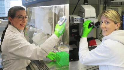 Potsdamer Biomaterialien für Zahnmediziner der Charité