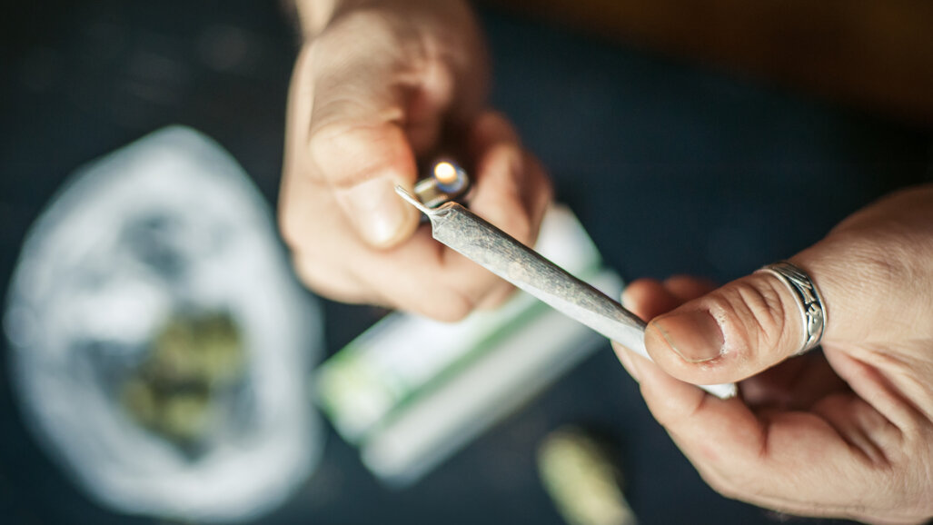 Regular cannabis users may require higher anaesthetic doses for oral surgery