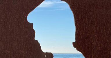 Relación de la enfermedad periodontal con enfermedades sistémicas en el adulto mayor (8)