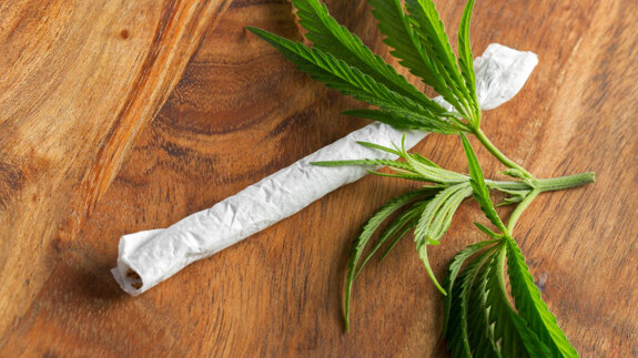 Regular cannabis users may require higher anaesthetic doses for oral surgery