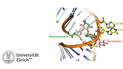 Bakterienkiller, der die Ohren verschont Bakterienkiller, der die Ohren verschont