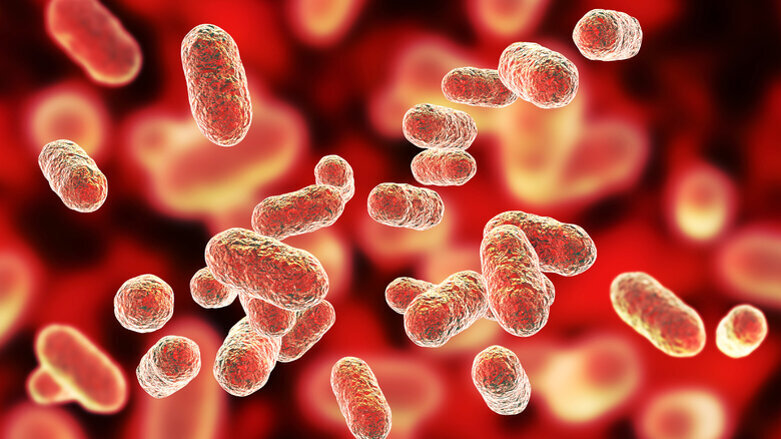 Doença periodontal e doença arterial coronariana compartilham base genética