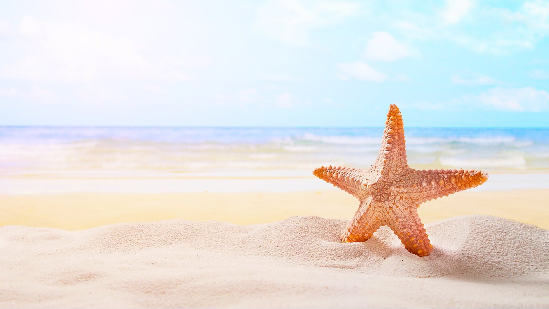 Buone vacanze da Dental Tribune e Tueor Servizi