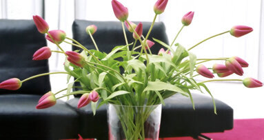 Immagini, suoni e profumi per comunicare efficacemente col paziente attraverso l’ambiente