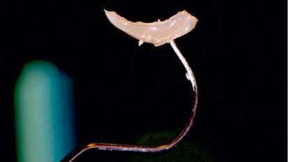 La cementación de materiales cerámicos sin metal