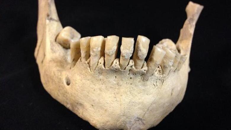 Research suggests human dairy consumption has longer history than previously thought