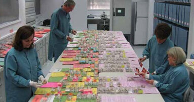 En busca del material de restauración perfecto