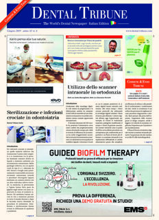 DT Italy No. 6, 2019