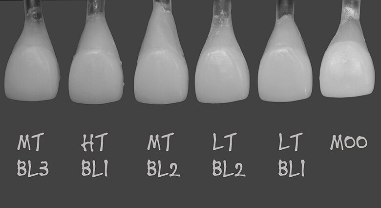 Fig. 4b: Black-and-white image to facilitate evaluating the brightness value.