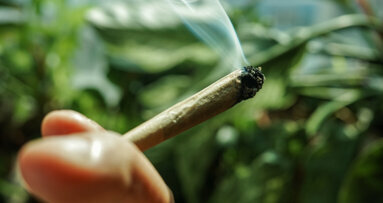 Frequent cannabis use associated with caries and severe tooth loss, study finds