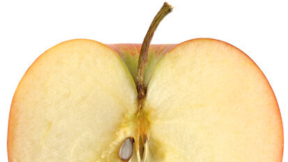 ADA honors state and local dental societies with Golden Apple Awards ADA honors state and local dental societies with Golden Apple Awards