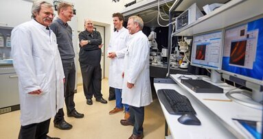 Bisphenol A blockiert die Zellfunktion