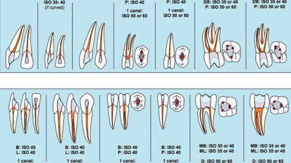 BioRaCe—Efficient, safe and biological based sequence files