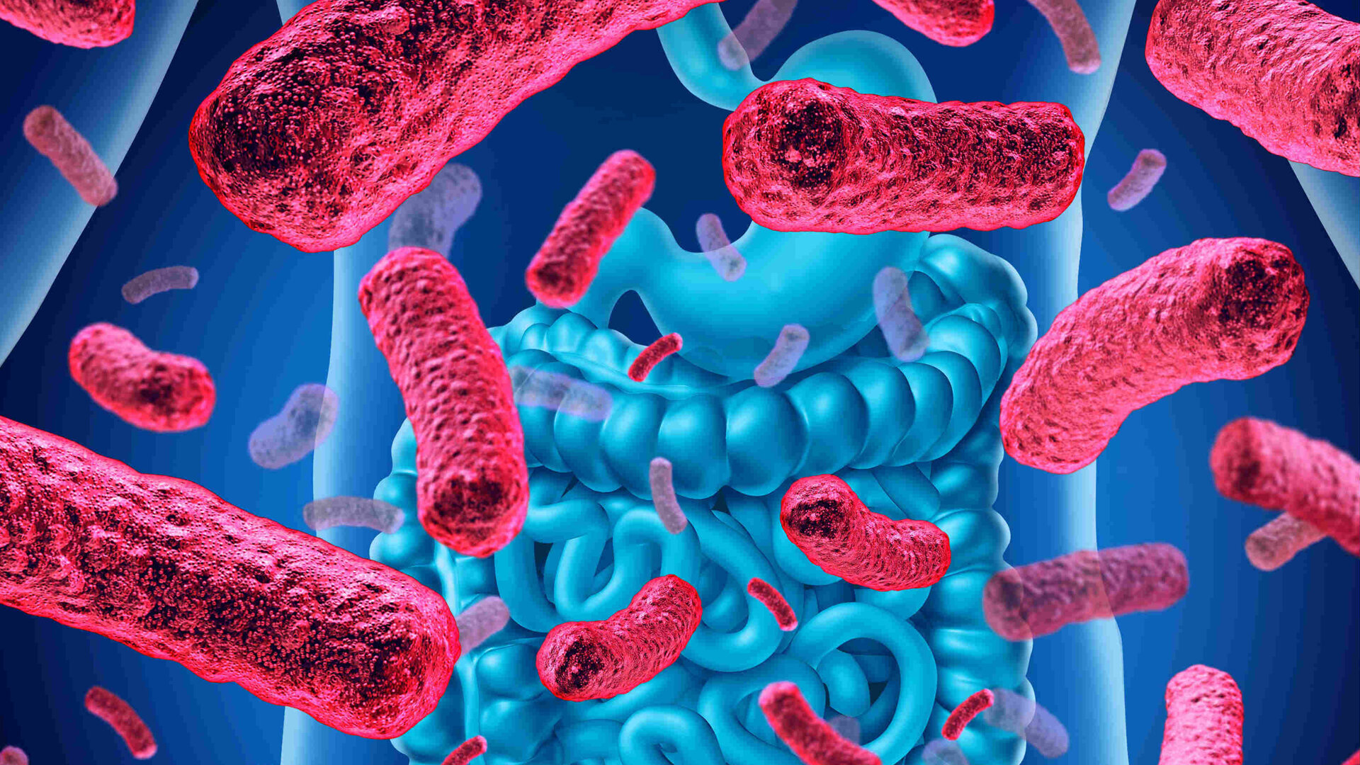 Microbiota della bocca, dell’intestino ed infiammazioni intestinali