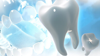 Forscher untersuchen embryonales Zahngewebe Forscher untersuchen embryonales Zahngewebe