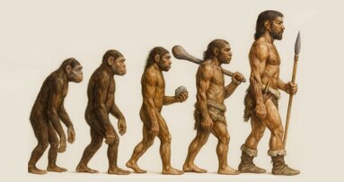 Pseudociencia del Apiñamiento Dental