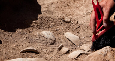 Ancient primary tooth found in France