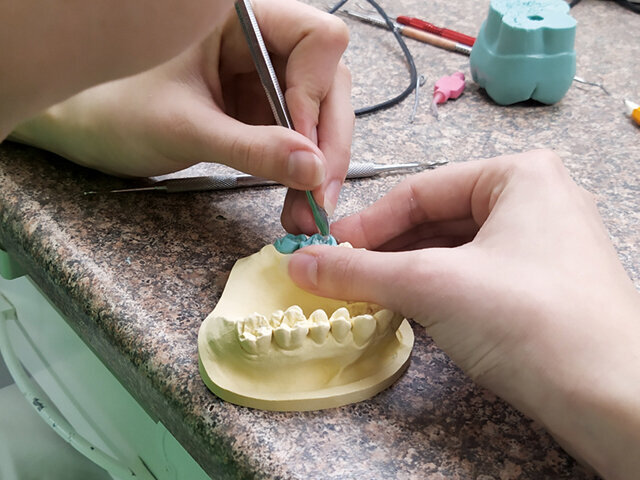 Úkolem bylo vymodelovat dva samostatné horní moláry