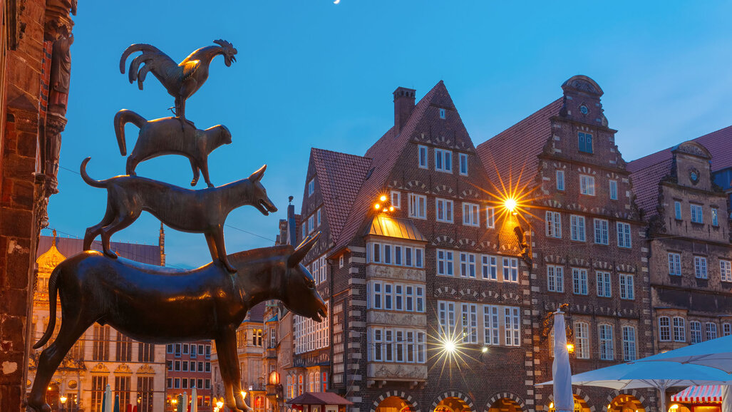 Die neue Bewegung in der Endodontie Bremen