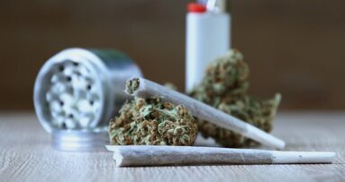 Estudo relaciona uso de marijuana e o aumento do risco da periodontite