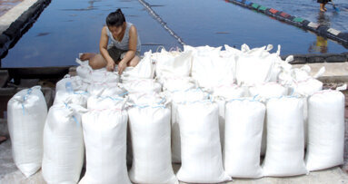 Fluoridated salt used in global fight against caries