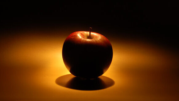 State and local dental societies are honored for outstanding programs