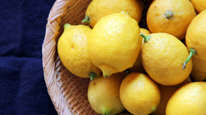 Zitronensäure regt Abwehrkräfte im Speichel an Zitronensäure regt Abwehrkräfte im Speichel an