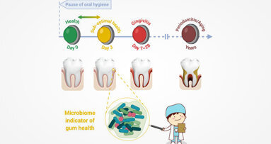 Study identifies asymptomatic state of gingivae that links gingivitis, periodontitis and ageing