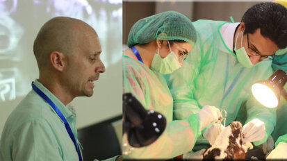 1st UHS IDC: Pre-Conference Workshops