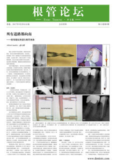 Endo Tribune China No. 2, 2017